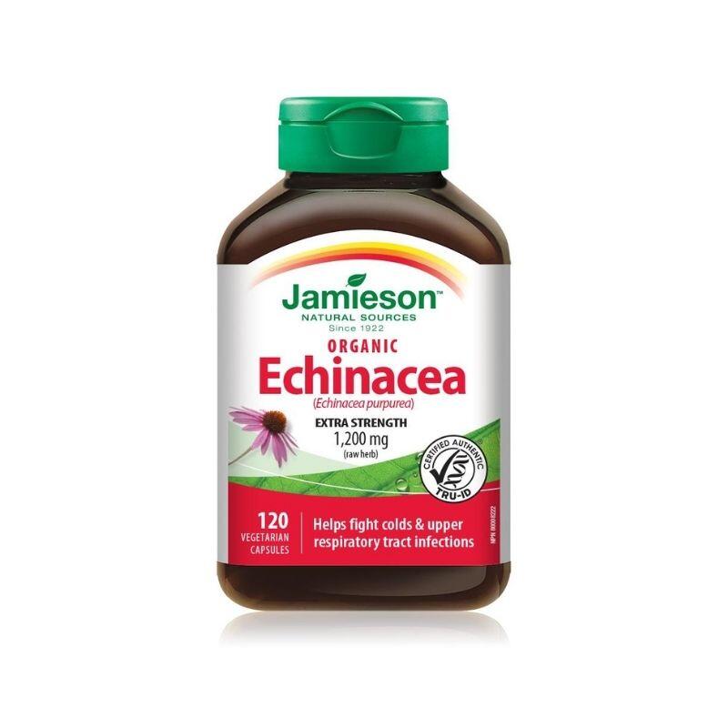 echinacea-1.jpg